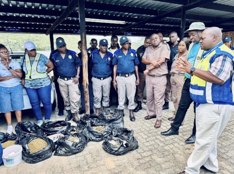 690F54FC-DAE1-4592-B2D5-A6FFE199DDA3